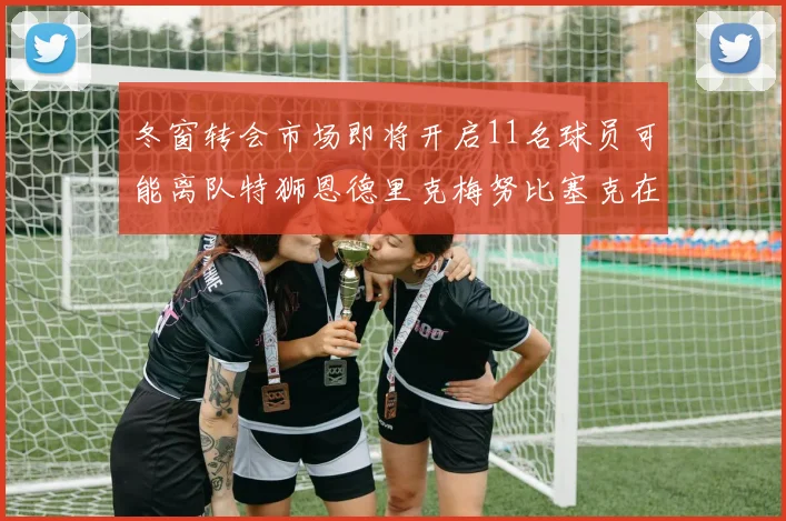 冬窗转会市场即将开启11名球员可能离队特狮恩德里克梅努比塞克在列