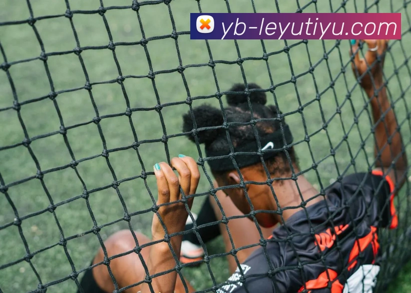 乐鱼体育平台生态图