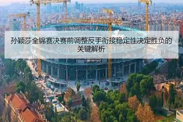 孙颖莎全锦赛决赛前调整反手衔接稳定性决定胜负的关键解析 | Leyu